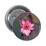 rosa Wasserlilie, 荷花 Anstecknadelbutton