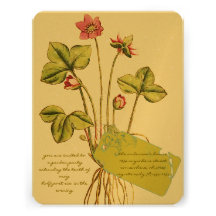 Rosa wilde Blumen-botanische Abendessen-Einladunge