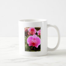 Rose farbige Phalaenopsis-Orchideen Teehaferl