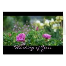 Rose Garden~, das an Sie denkt Karten