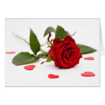 Rose gefaltete Karte