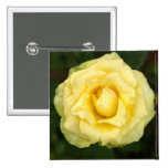 Rose im Gelb Anstecknadel