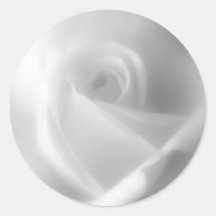 Rose in den Schwarzweiss-Aufklebern