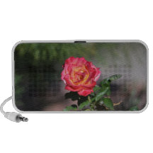 Rose Mini Lautsprecher
