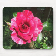 Rose mousepad 2