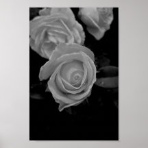Rose Plakat