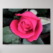 Rose Posterdrucke