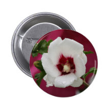 Rose von Sharon Anstecknadel