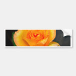Rosen-Blume Auto Sticker