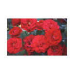 Rosen-Blüten - Blumenphotographie Galerie Gefaltete Leinwand