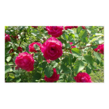 Rosen-Bush-Geschäfts-Karte Visitenkarte