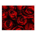 Rosen-Eleganz-Postkarte