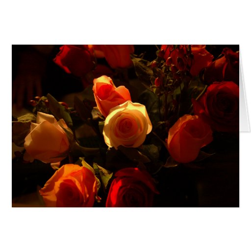 Rosen I - Orange, Rot und Goldruhm Grußkarte