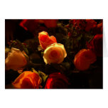 Rosen I - Orange, Rot und Goldruhm Grußkarten