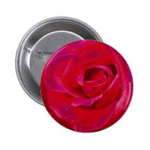 Rosen-Knopf/Abzeichen Buttons
