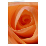 Rosen-Knospe Karte