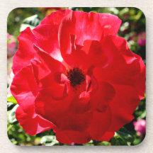 Rosen-Korken-Untersetzer