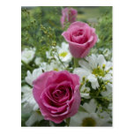 Rosen und Gänseblümchen-Postkarte