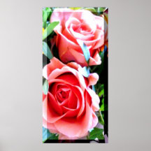 Rosenduo Plakate