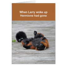 Rot-getrumpfte Lemurkarte