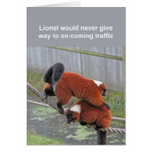 Rot-getrumpfte Lemurskarte