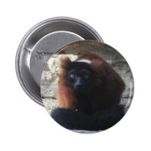 Rot getrumpfter Lemur Anstecknadel