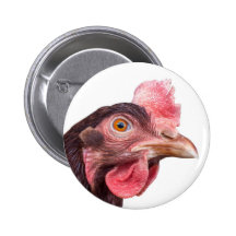 Rot mit Federn versehene Huhn-Ei-Schicht-Henne Anstecknadelbutton