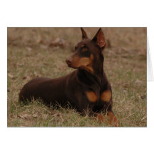 Rot und Rost-Dobermann Karte