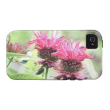 Rote Bienen-Balsam-Blüte iPhone 4/4S Cover