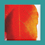 Rote Blatt-Leinwand magnete
