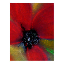 Rote Blume, Mohnblume Postkarten