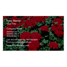 Rote Blumen-Blumen Visitenkarten
