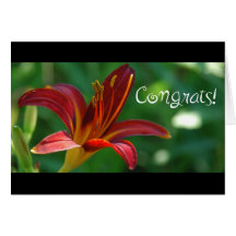 Rote Blüte Congrats Karten