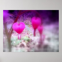 rote blutende Herzen #5 Plakatdruck
