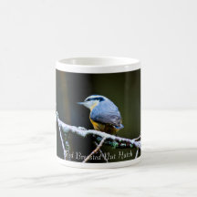 Rote Breasted Nuss-Luken-Kaffeetasse