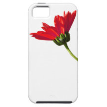 Rote Gänseblümchen-Einfachheit iPhone 5 Schutzhülle