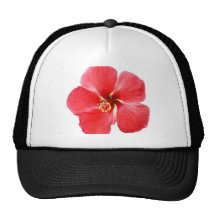 Rote hawaiische Hibiskus-Blume Baseball Cap