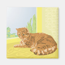 rote Katze Magnete