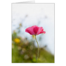 Rote Mohnblume gefaltete Karte