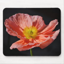Rote Mohnblumen-Blume und -bedeutung Mousepads