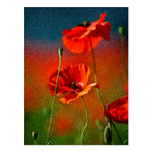 Rote Mohnblumen-Blumen Postkarte