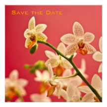 Rote Orchidee • Save the Date Mitteilung Individuelle Einladungskarte