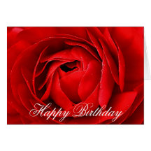 ROTE ROSE - ALLES GUTE ZUM GEBURTSTAG KARTEN