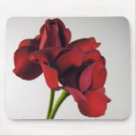 Rote Rose Mousepad