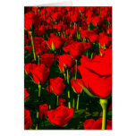 Rote Rosen Grußkarten