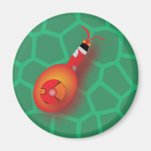 Rote Schnecken #2 Kühlschrankmagnet