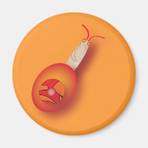 Rote Schnecken #5 Kühlschrankmagnete