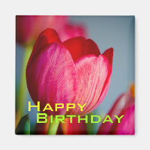 Rote Tulpen • Alles- Gute zum Geburtstagmagnet