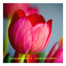 Rote Tulpen • Hochzeits-Einladung