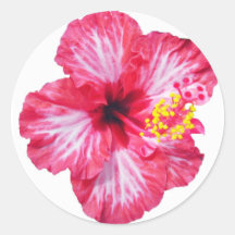 rote weiße rosa Hibiskusaloha Blume Runde Aufkleber